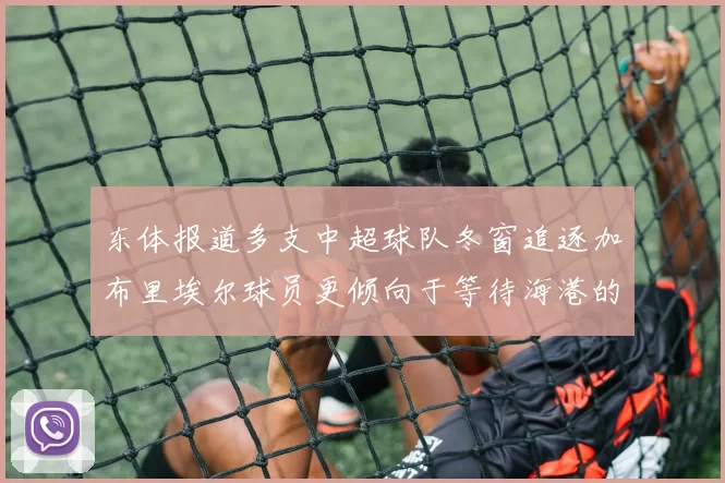 东体报道多支中超球队冬窗追逐加布里埃尔球员更倾向于等待海港的机会